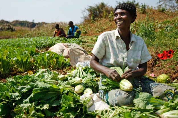 Setor produz 80% dos alimentos consumidos no mundo. Foto: FAO