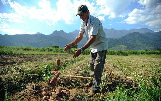 Com pedidos de aposentadoria negados, agricultores queixam de novas regras Trabalhadores relatam dificuldade com exigência do governo sobre DAP, documento requerido em casos de linha de crédito / Foto: Tomaz Silva/Agência Brasil