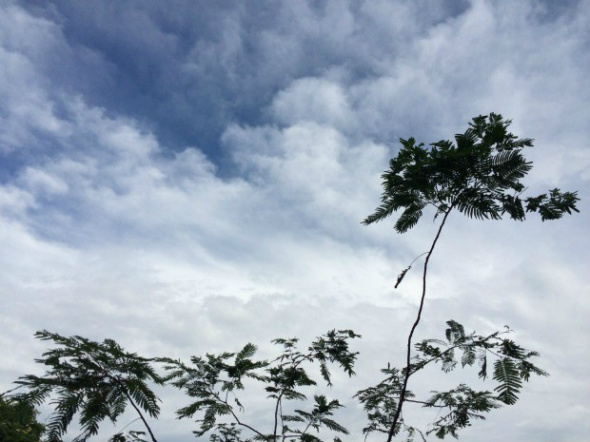 Céu de Campo Grande na tarde desta sexta-feira (30) Foto: Isabela Cavalcante/G! MS