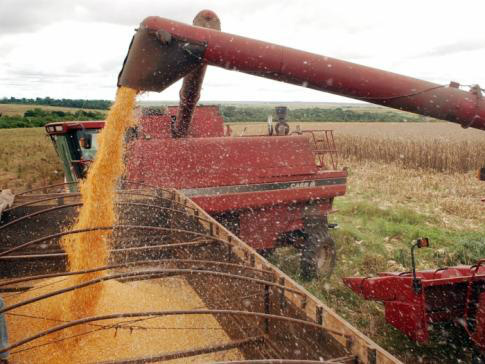 IBGE estima safra nacional de grãos 12% maior que a de 2012