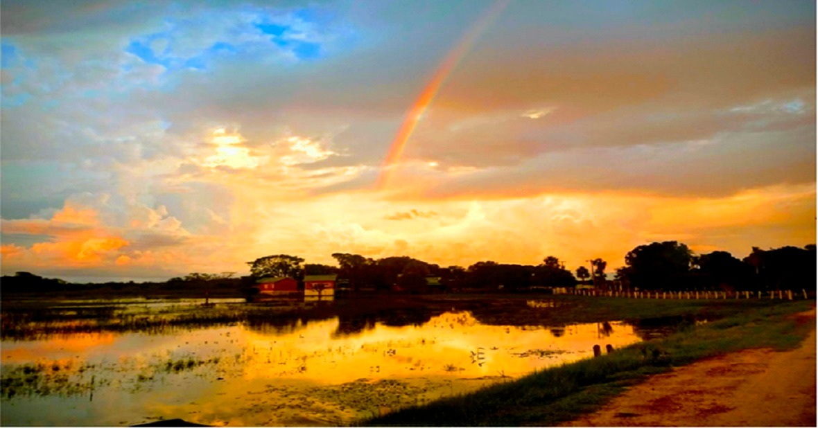Chuvas diminuem e sábado terá sol em grande parte de Mato Grosso do Sul Chuvas diminuem e sábado terá sol em grande parte de Mato Grosso do Sul