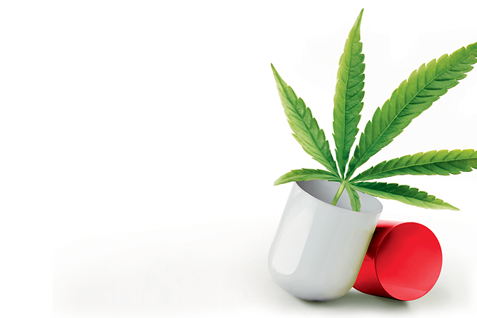 Maconha medicinal: o que muda na prática com a nova regulamentação? O uso terapêutico da maconha gerou debates acalorados nos últimos anos. (Ilustração: Marcelo Garcia/SAÚDE é Vital)