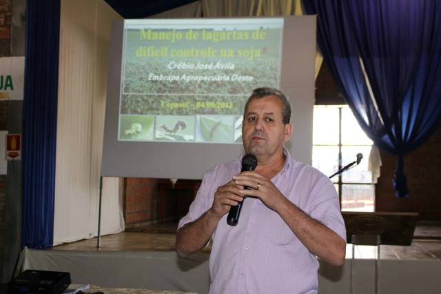 Pesquisador alertou que a Lagarta causa prejuízos principalmente às lavouras de milho, soja e algodão.