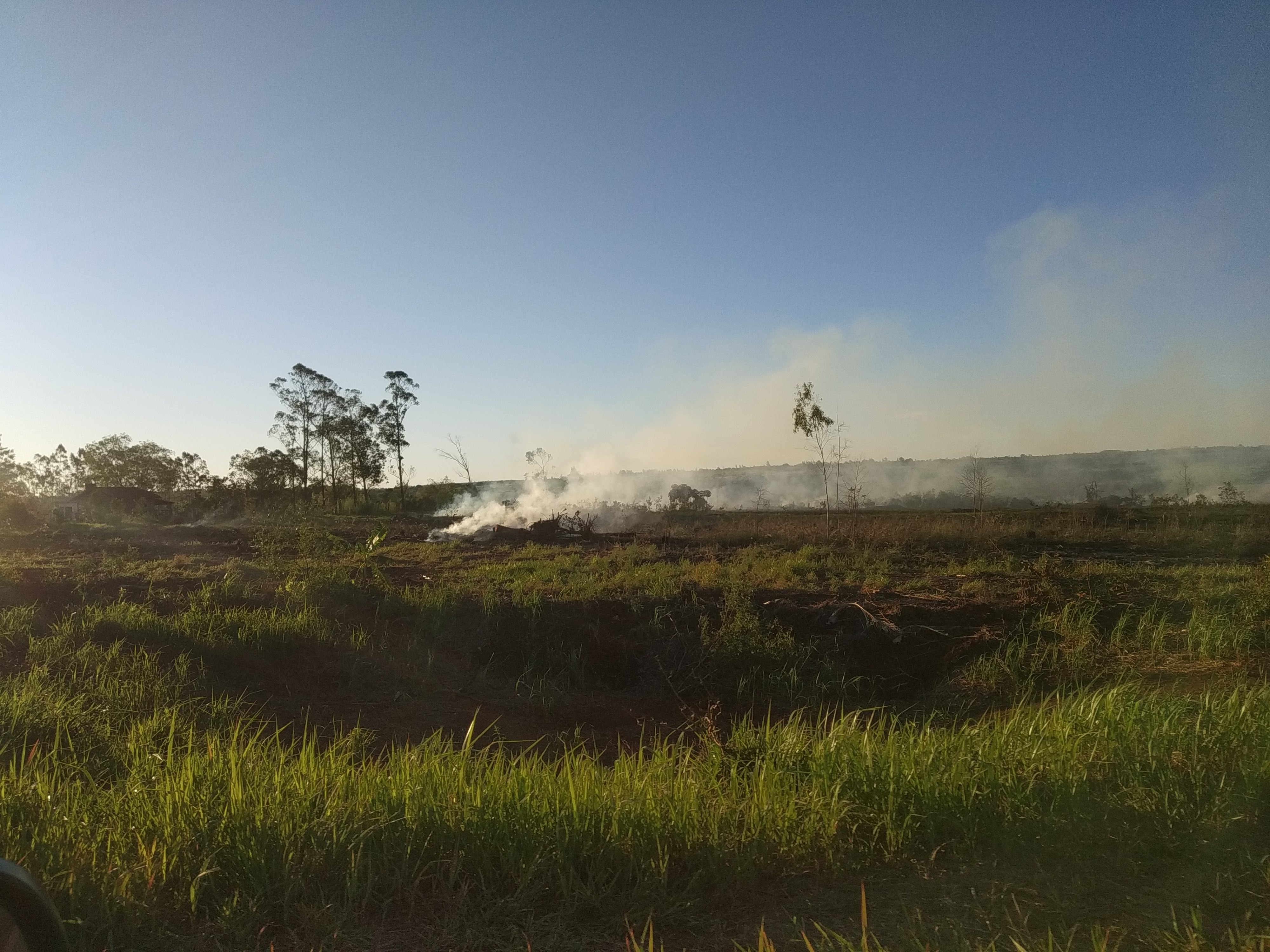 Agressão ao Meio Ambiente Queimada na rodovia MS-156, a cerca de três quilômetros do Posto da Policia Ambiental de Amambai / Foto: Moreira Produções