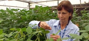 Bióloga Beatriz Spalding Corrêa Ferreira