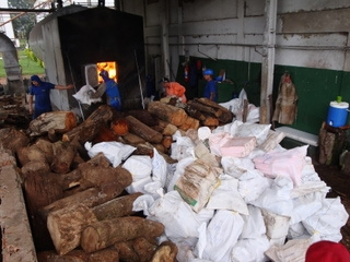 PF incinera quase 3 toneladas de drogas apreendidas