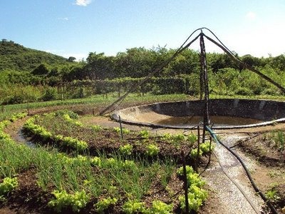 Experiências de educação ambiental ganham espaço