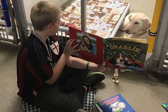 Crianças leem para cães que sofreram maus tratos e a melhora é visível!
