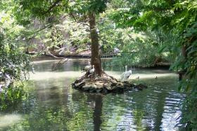 Brasil terá 'wikipédia' botânica com dados da Amazônia Brasil terá 'wikipédia' botânica com dados da Amazônia