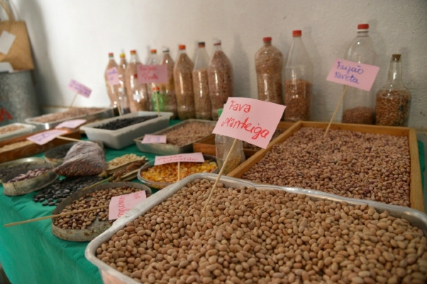 Preços do arroz sobem 20% no ano Foto: Divulgação