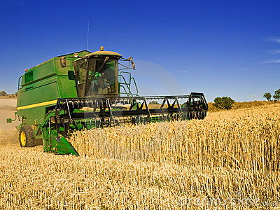 Ponta Porã colheu 319 mil toneladas de soja