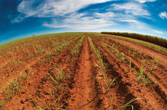 MS terá geotecnologia para o setor sucroenergético MS terá geotecnologia para o setor sucroenergético