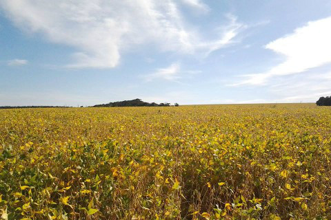 Foto: Assessoria de Imprensa Sistema Famasul