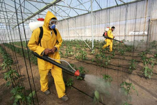 Especialistas alertam para o perigo dos agrotóxicos para a saúde Especialistas alertam para o perigo dos agrotóxicos para a saúde