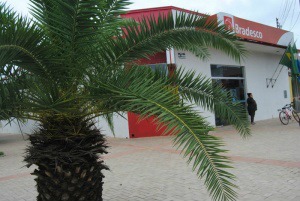 Com o Carnaval chegando, confira o que abre e fecha em Amambai no feriado Com o Carnaval chegando, confira o que abre e fecha em Amambai no feriado