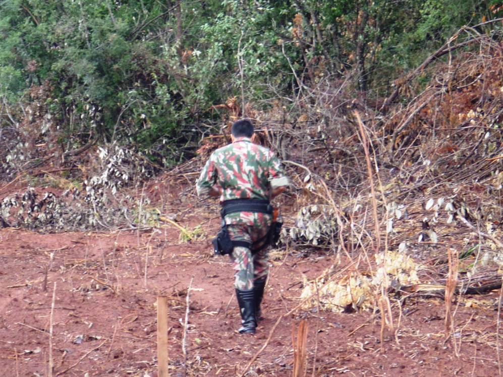 A área desmatada vistoriada e medida em GPS foi de 0,4 hectare e havia várias árvores derrubadas.