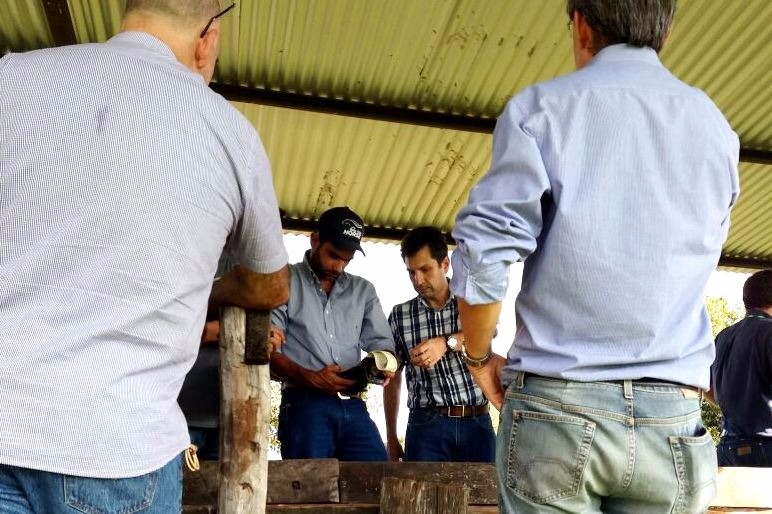 Projeto piloto. Estado oferece treinamento para pecuaristas em Bela Vista