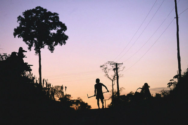 Fazendeiro em Vila De Canoas, perto de Manaus, no Brasil. Foto: Julio Pantoja / Banco Mundial