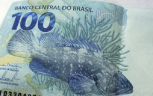 Medida Provisória destina quase R$ 905 milhões para três ministérios Medida Provisória destina quase R$ 905 milhões para três ministérios