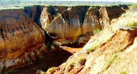 A propriedade rural fica a 8 km da cidade e a situação foi descoberta durante vistoria na região / Foto: Divulgação
