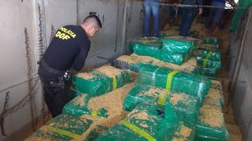 Policiais do MS apreendem 10,7 toneladas de maconha em caminhão carregado de milho - DOF - Sejusp -MS