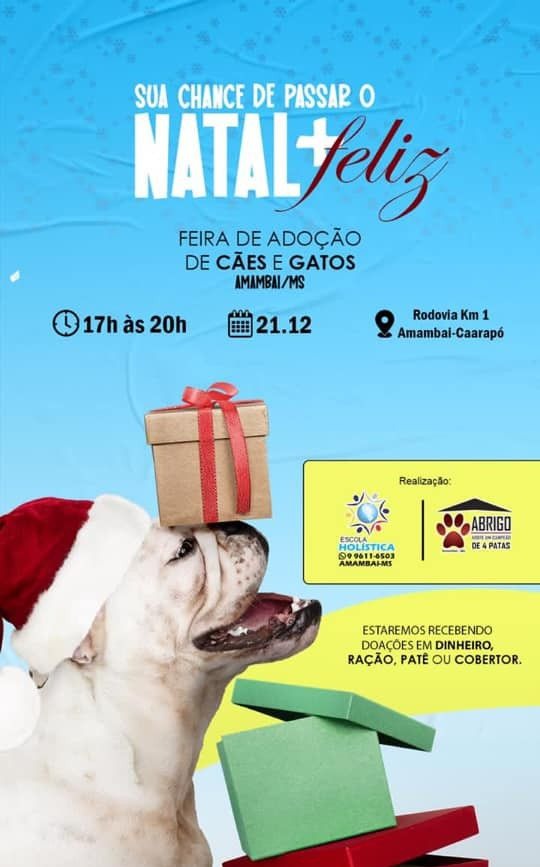 Agenda de eventos para Amambai e região