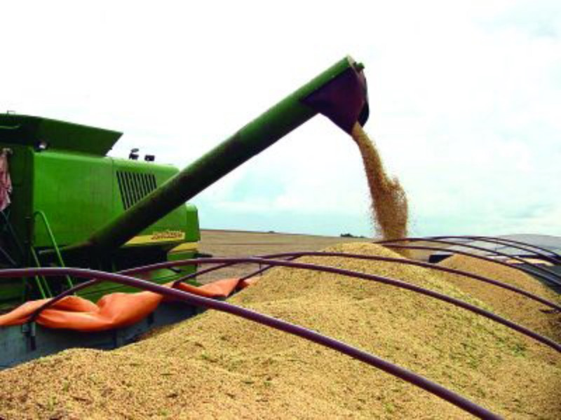 Com quase 160 milhões de toneladas, previsão da Conab é de safra recorde de grãos Com quase 160 milhões de toneladas, previsão da Conab é de safra recorde de grãos