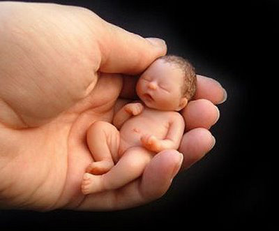 CNBB: Autorizar aborto é “descartar um ser humano frágil e indefeso CNBB: Autorizar aborto é “descartar um ser humano frágil e indefeso