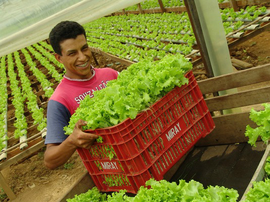 Foto: Ascom/MDA 