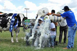 Torneio leiteiro atrai presidência nacional do Girolando na Expogrande
