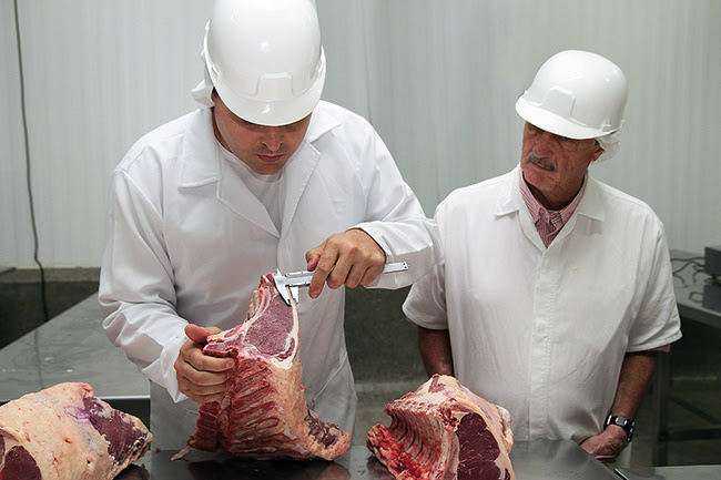 Especialista analisa carne produzida no município de Figueirão, em Mato Grosso do Sul