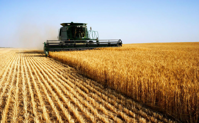 Produção agrícola cresceu 8,1% em 2014
