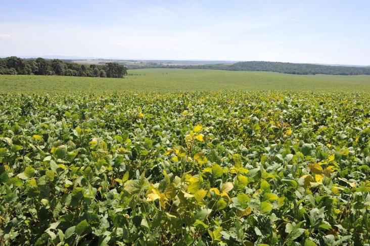 Veto à pulverização aérea de agrotóxicos causaria R$ 5,9 bilhões de prejuízo