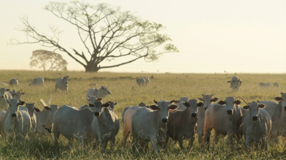 O mundo está de olho nos ganhos de produtividade