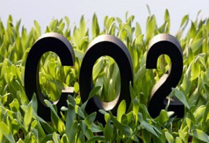 Capacitação de baixa emissão de CO2