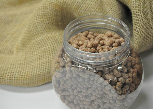 Pesquisa desenvolve cereal matinal de sorgo