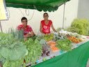 Mercado brasileiro de orgânicos fatura R$ 4 bilhões