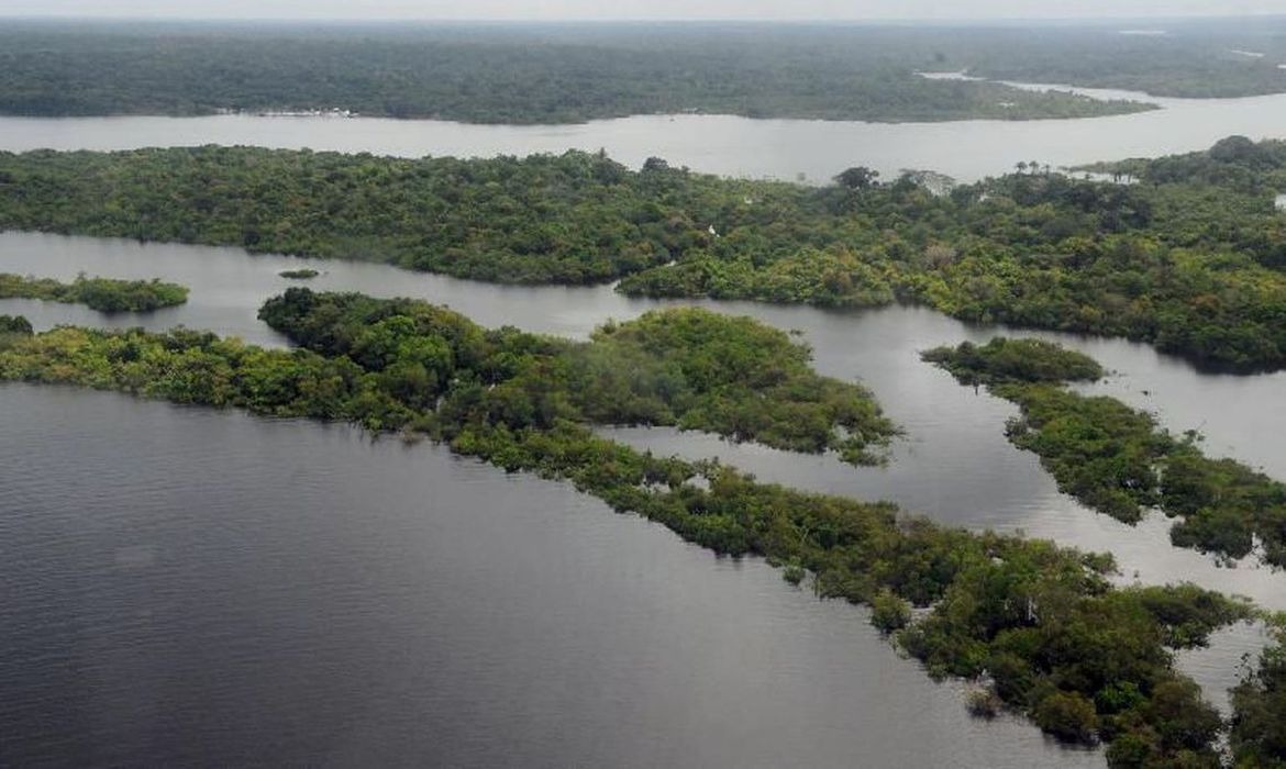 Bancos de desenvolvimento podem acelerar a recuperação econômica verde Foto: Agência Brasil