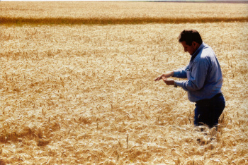 Famasul realiza curso sobre governança e sucessão familiar Foto: Divulgação/Famasul