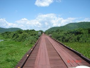 Estrada Parque leva os turistas a um contato direto com a natureza.Foto: Divulgação 