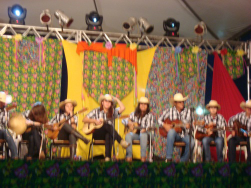 Apresentação da Violas de São Gonçalo.