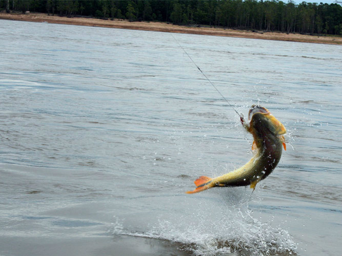 Geraldo Resende cumpre agenda com ministro da Pesca em Dourados Geraldo Resende cumpre agenda com ministro da Pesca em Dourados