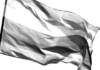 Uma morte LGBT acontece a cada 28 horas motivada por homofobia A média é de uma morte a cada 28 horas.