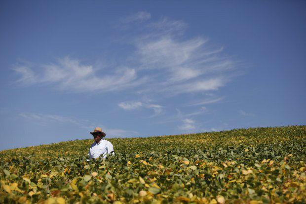 O presidente do Cosag-Fiesp não acredita, entretanto, que o Produto Interno Bruto (PIB) do agronegócio venha a ser afetado. 