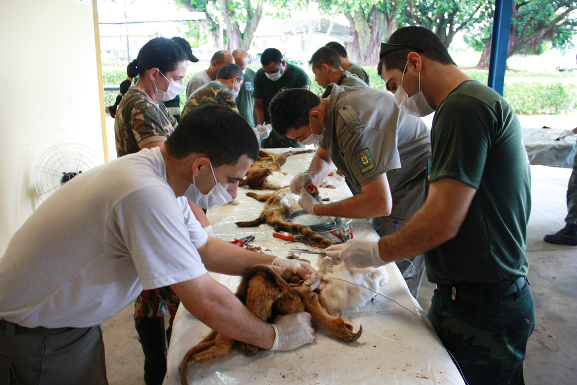 PMA conclui curso de taxidermia para Policiais Ambientais de nove estados