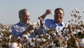 Temer diz que vai recuperar grau de investimento no país em breve O presidente Michel Temer e o ministro da Agricultura, Blairo Maggi, abrem oficialmente a colheita estadual de algodão em Mato Grosso Alan Santos/PR