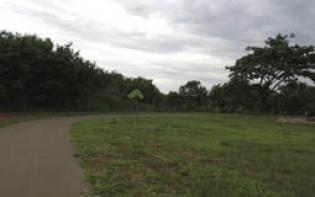 Encerradas inscrições para a 1ª turma de capacitação do Cadastro Ambiental Rural