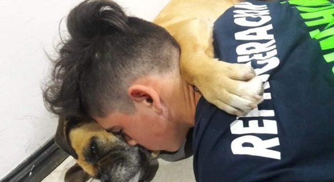 Saiba como proteger seus animais do barulho de rojões no fim de ano Relato de dono de pet que morreu em decorrência do barulho dos fogos viralizou nas redes. Foto: Reprodução