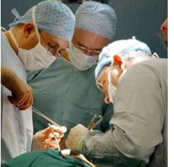 Paciente recebe primeiro transplante duplo de fígado de doadores vivos Paciente recebe primeiro transplante duplo de fígado de doadores vivos