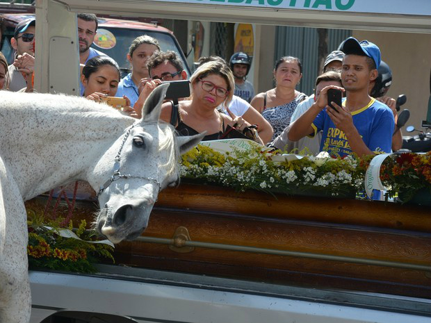 Levado para o cortejo pelo irmão do vaqueiro, cavalo relinchava, batia as patas e deitou a cabeça sobre o caixão do dono (Foto: Kyioshi Abreu/ Arquivo Pessoal)